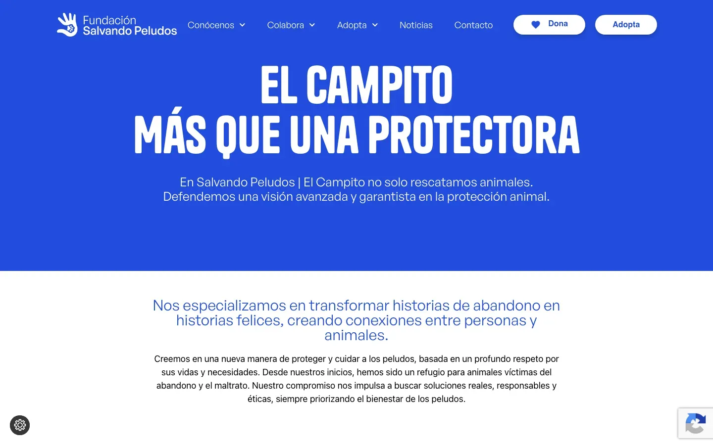 Web de Salvando Peludos en escritorio, captura 2 de 2